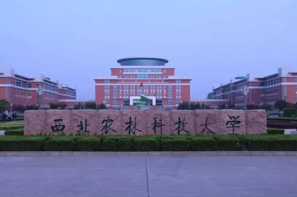 西北农林科技大学文凭(西北农林科技大学条件艰苦吗)
