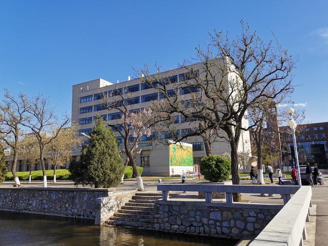 天津大学(天津大学生招聘网官网)