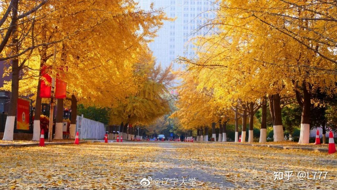 辽宁大学(辽宁大学官网)