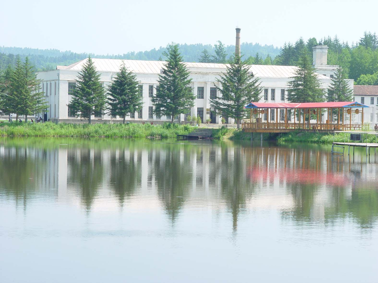 东北林业大学毕业证(东北林业大学毕业证图片)