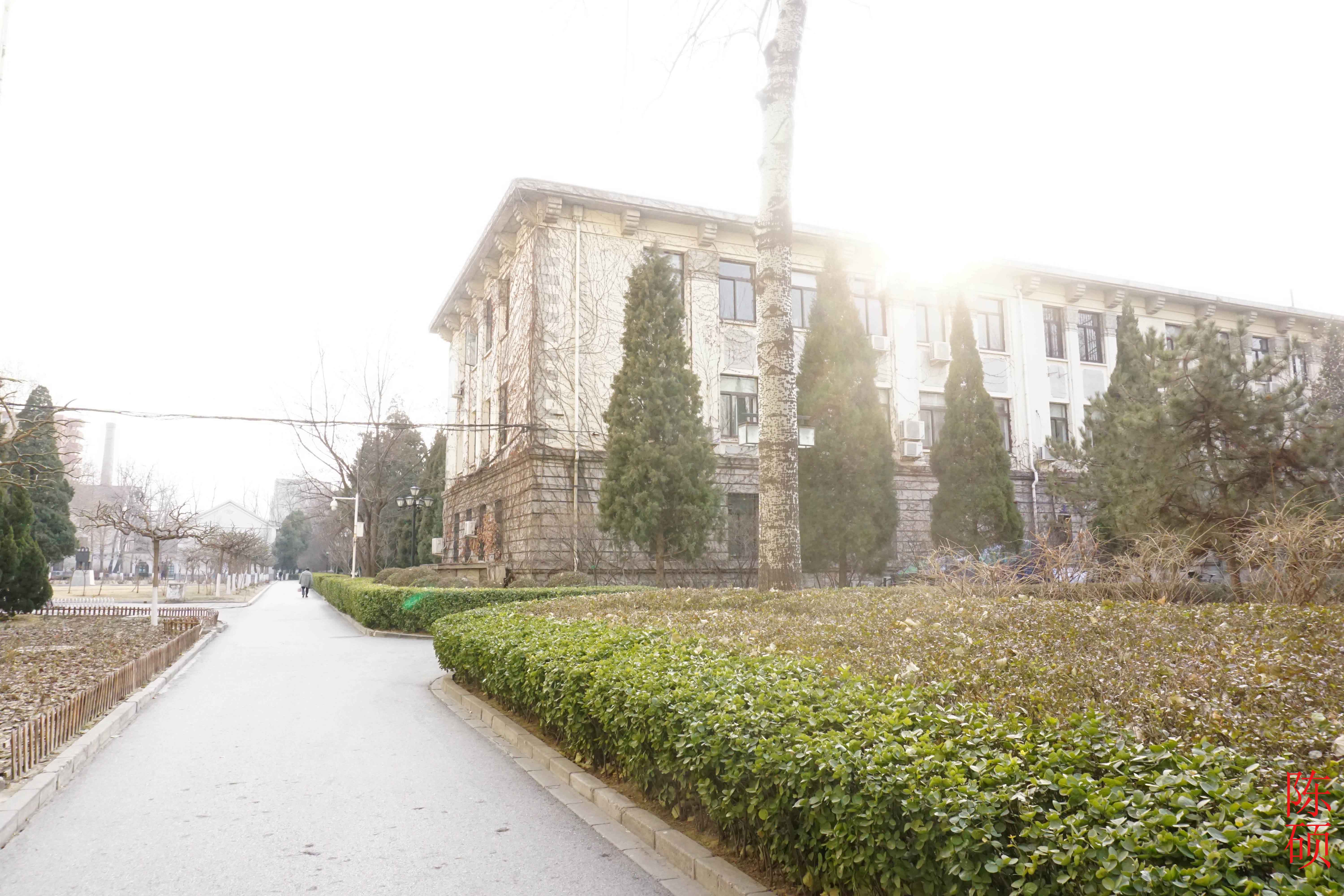 北京科技大学毕业证(北京科技大学毕业证什么时候发)