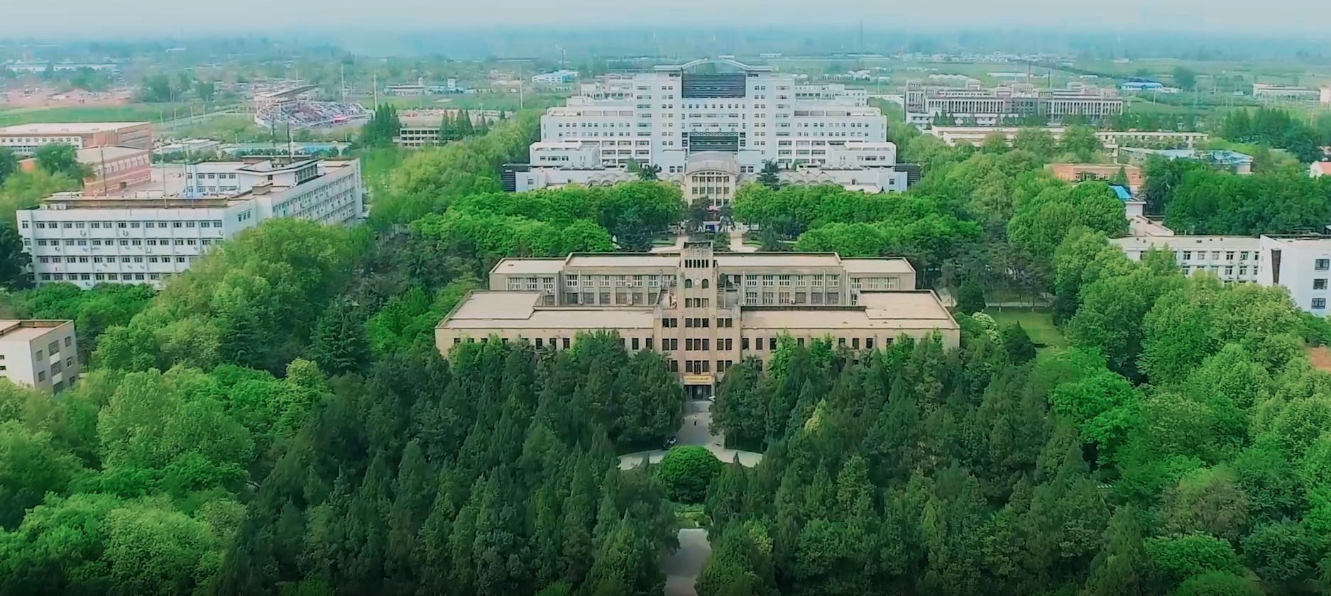 西北农林科技大学毕业证(西北农林科技大学毕业证要求)
