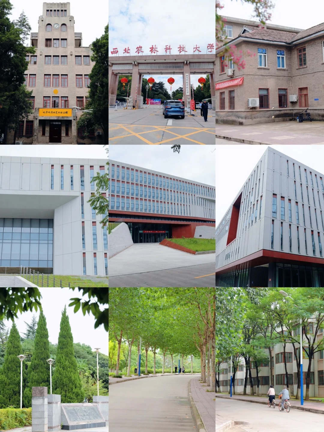 西北农林科技大学(西北农林科技大学邮箱)