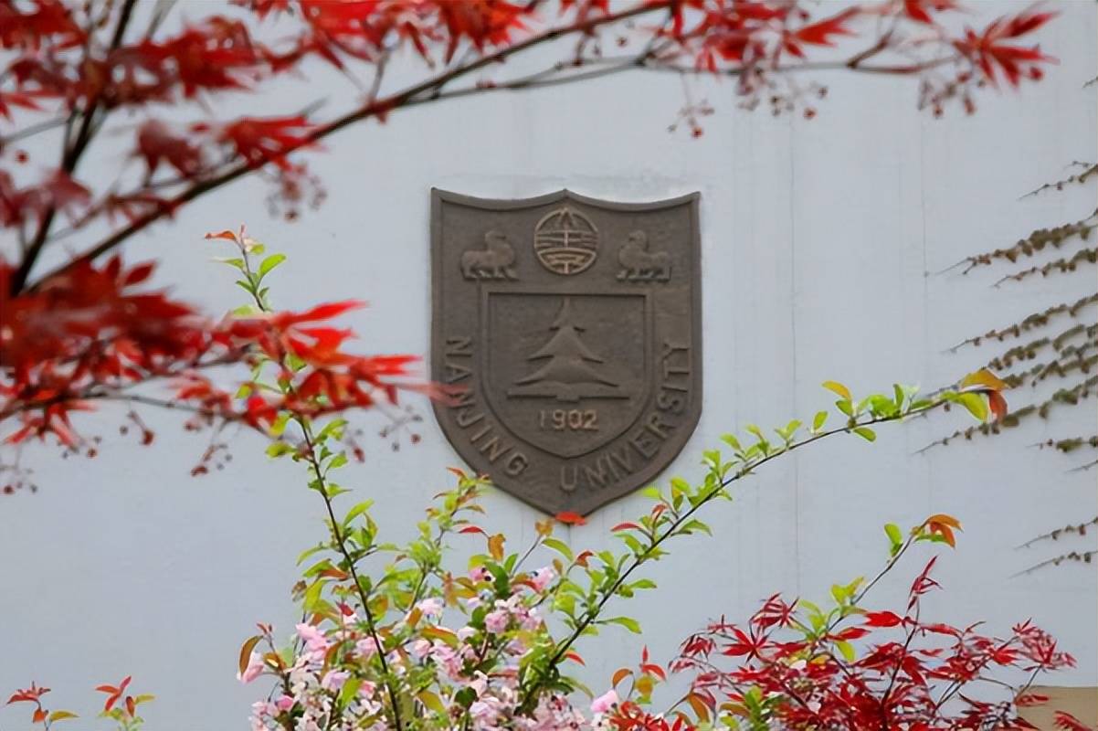 南京大学文凭(南京大学文凭很高吗)