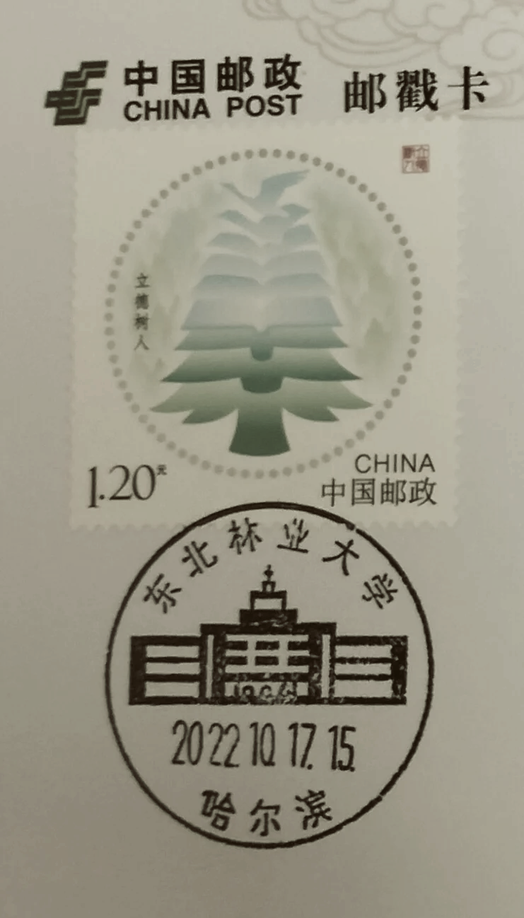 东北林业大学(东北林业大学是985还是211)