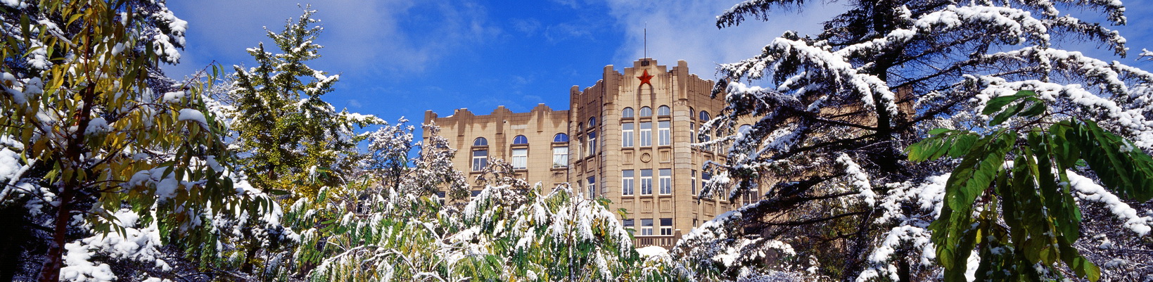 辽宁大学官网