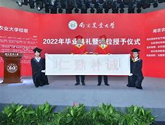 南农毕业证书