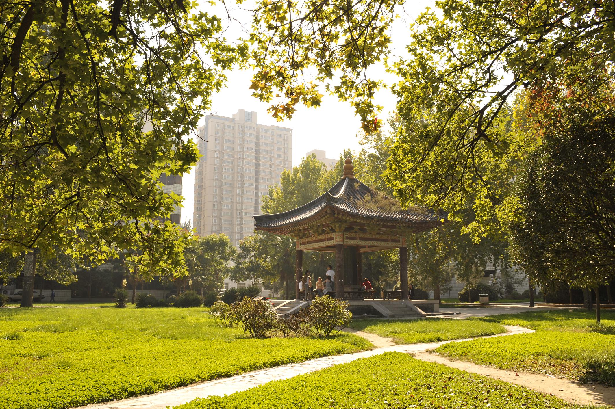 西北大学录取分数线2024
