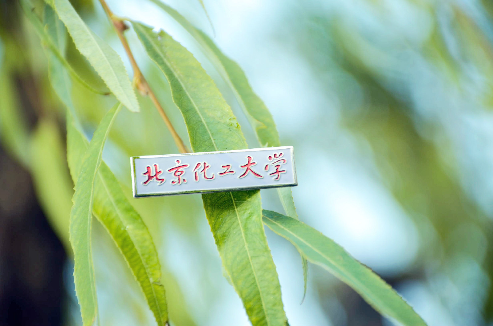 北京化工大学毕业证书印刷招标