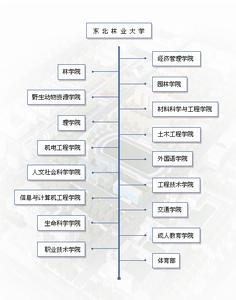 东北林业大学毕业证图片