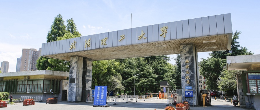 武汉理工大学王牌专业