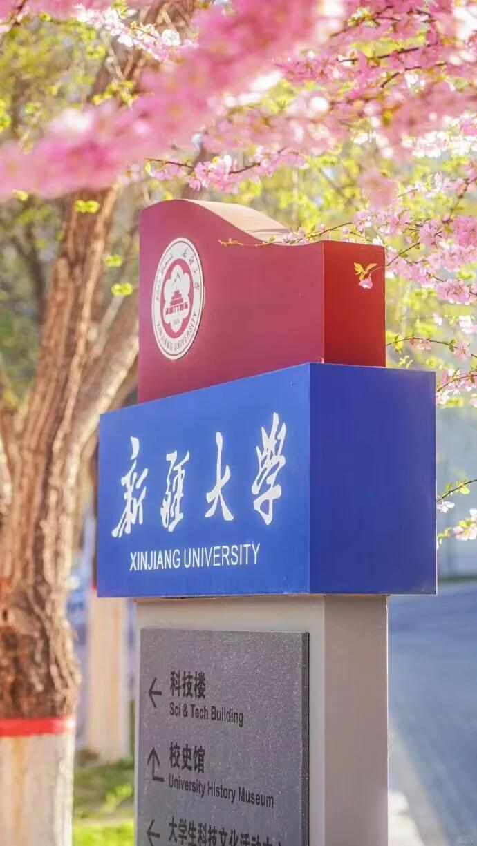 新疆大学排名