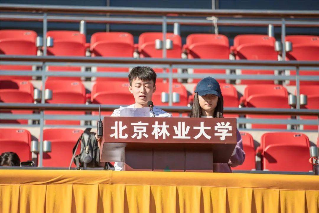 在北京林业大学读书是一种什么感受