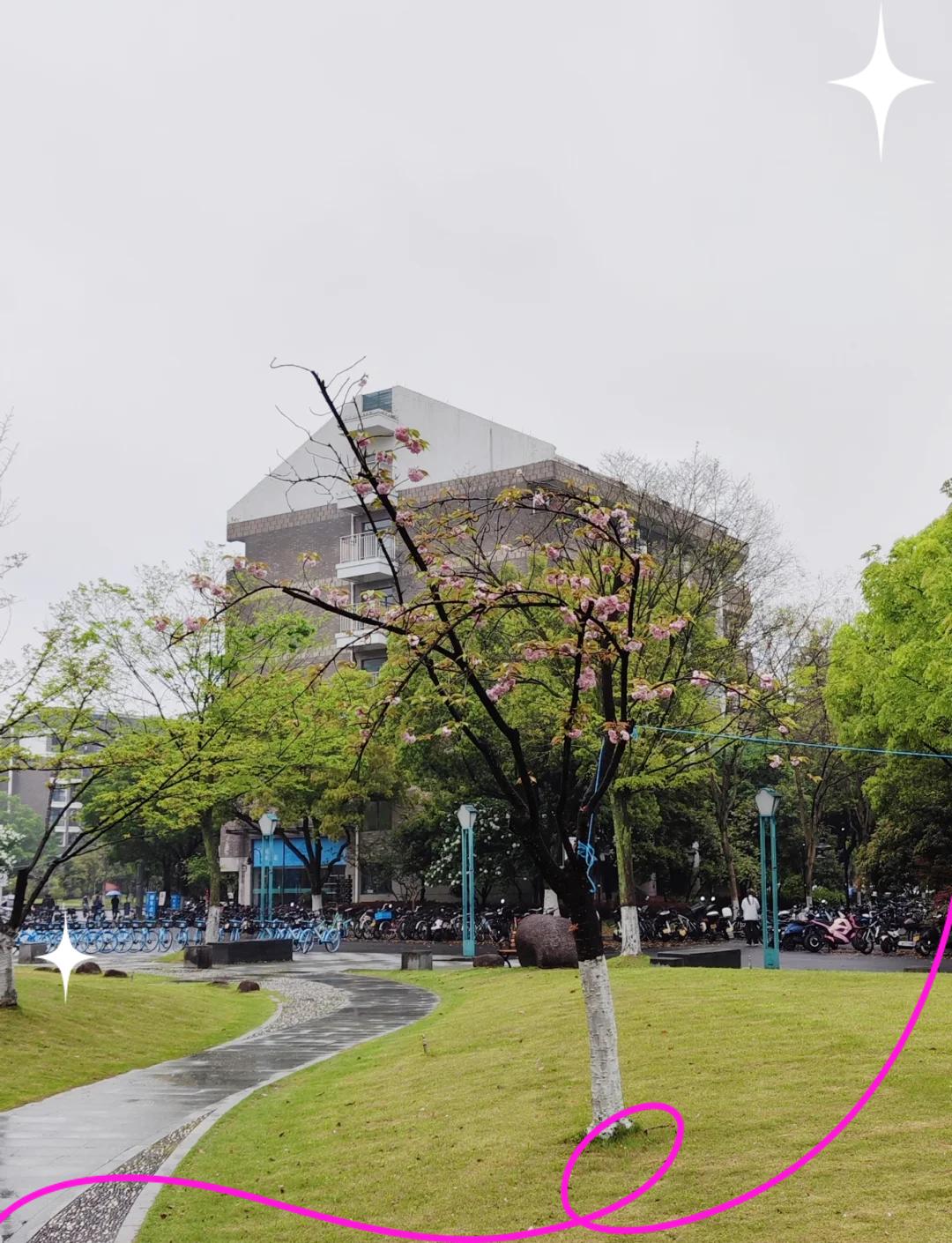 浙江工业大学研究生院